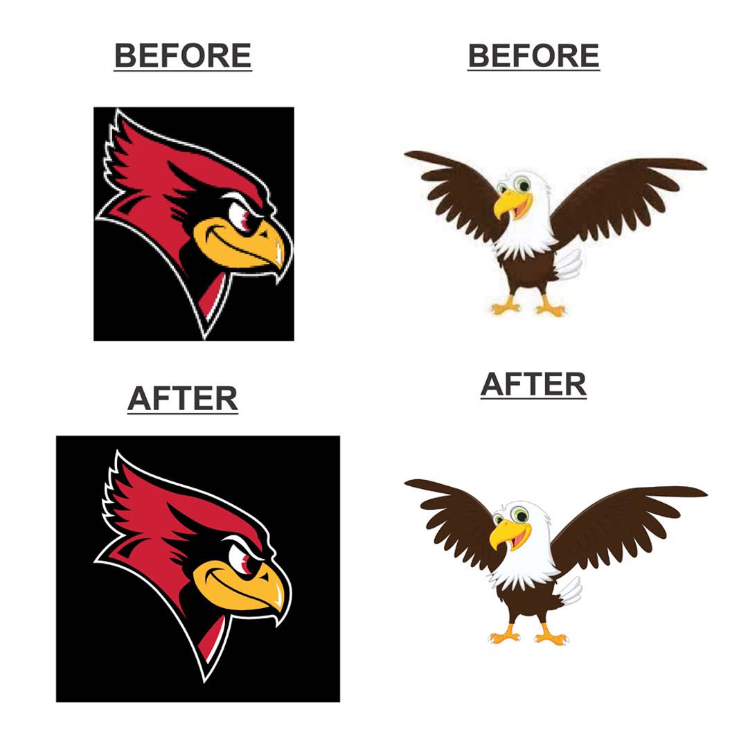 Eagle logo Bird Logo Vector